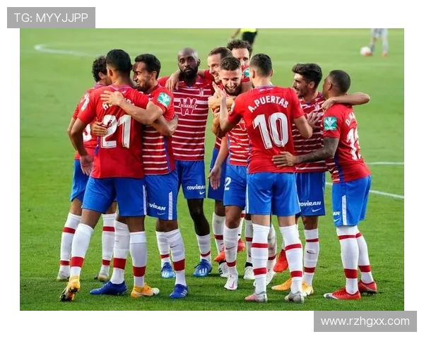 西甲有哪些俱乐部参加比赛?